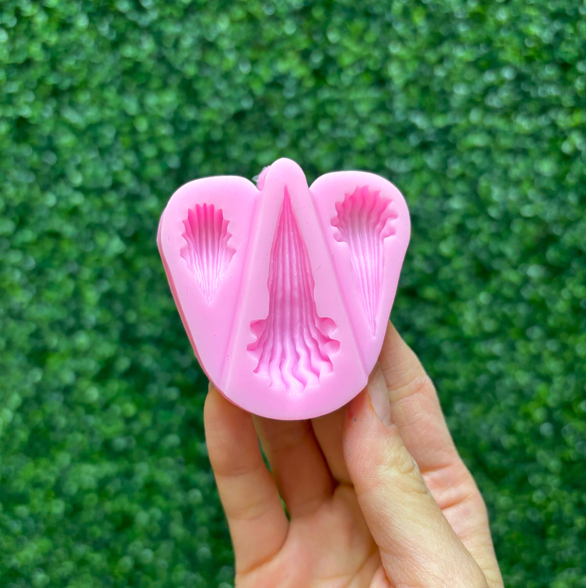 3 Icing Shells – Bean and Butter