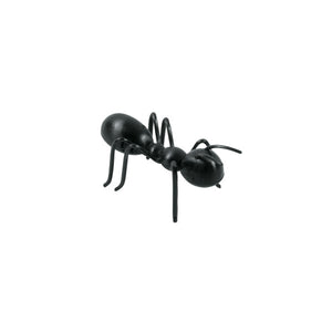 
                  
                    3D Ant Layon (6ct)
                  
                